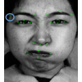 Face from the JAFFE dataset with some fiducial points