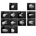 Set of gestures used for  the study of the trajectories