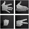 Application of the GNG learning algorithm to different hand postures